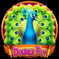 Double Fly 