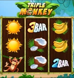Triple Monkey